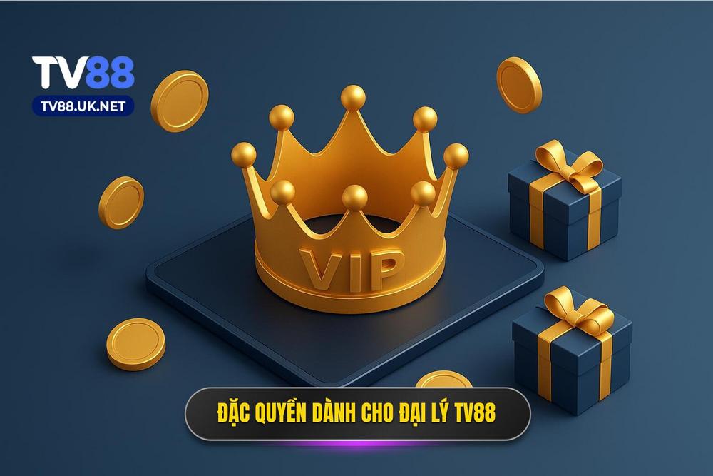 2.quyền Lợi đặc Quyền Dành Cho Đại Lý Tv88