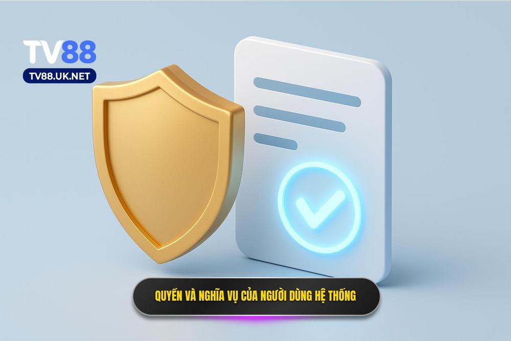 2.quyền Và Nghĩa Vụ Của Người Dùng Khi Tham Gia Hệ Thống